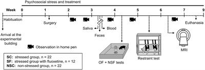 Validation of a Psychosocial Chronic Stress Model in the Pig Using a Multidisciplinary Approach at the Gut-Brain and Behavior Levels